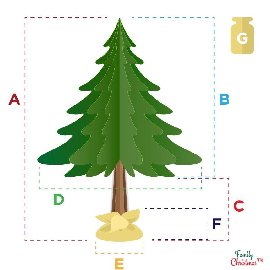 Grafika porównawcza rozmiarów choinki Beverly: 160cm, 180cm, 220cm